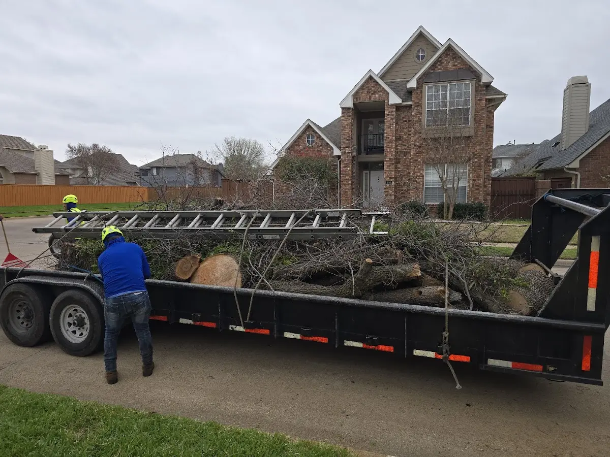 Expert Tree Fertilization with proper safety equipment in Lake George